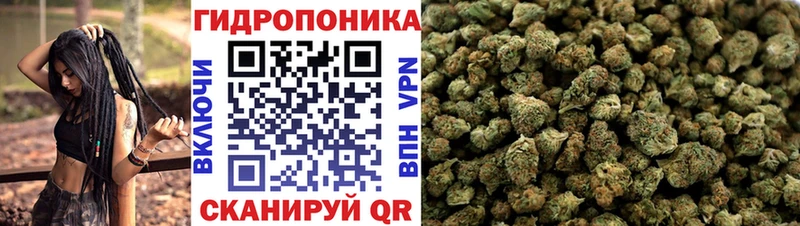 где продают наркотики  Спасск-Рязанский  Каннабис VHQ 